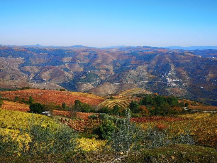 DouroValley Sunset,Live Show,Fine Chef Dining,Wine Tastings - Booking Details