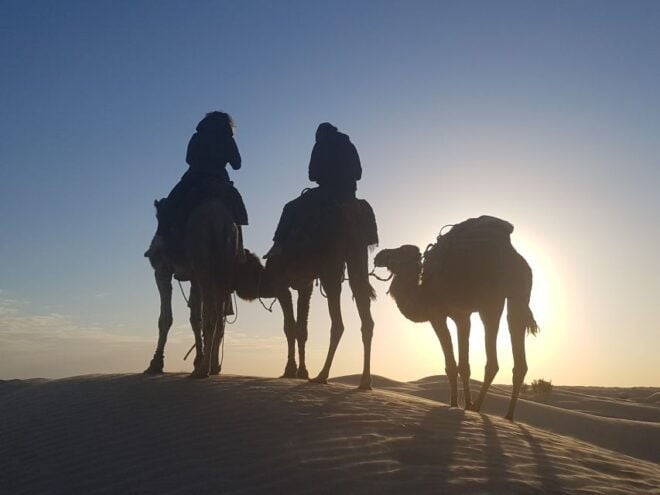 Douz 2-Day Sahara Desert Camel Trek - Additional Information