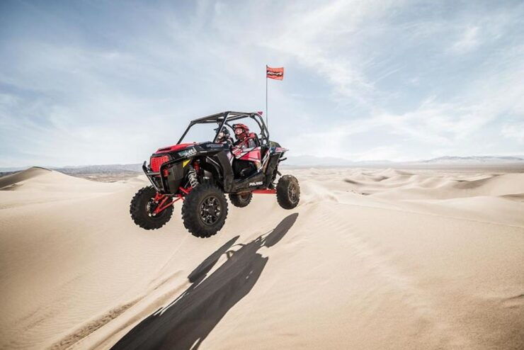 Douz: Half-Day Sahara Desert Buggy Adventure - Instructor and Language Communication