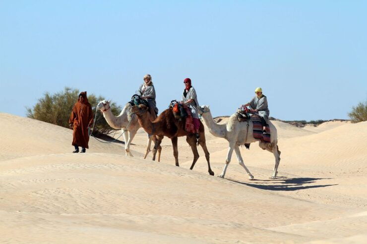 Douz: Sahara Desert Camel Trek With Lunch - Activity Details