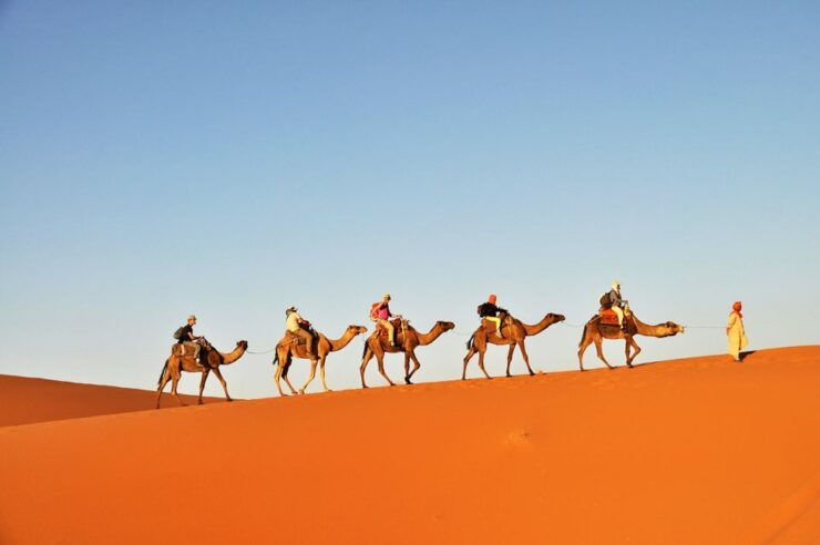 Douz: Sunset or Sunrise Sahara Desert Camel Ride - Highlights