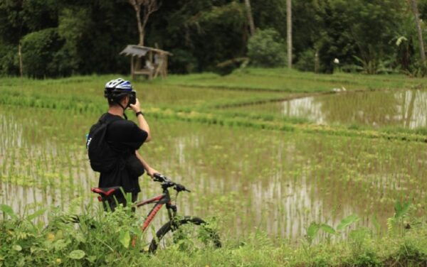 Downhill Cycling Tour Ubud Through Jungle and Rice Terrace - Common Questions