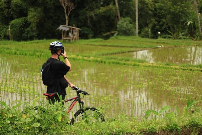 Downhill Jungle and Rice Terrace Cycling Tour - Good To Know