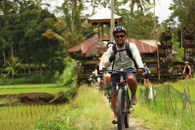 Downhill Jungle and Rice Terrace Cycling Tour - An In-Depth Look at the Cycling Adventure