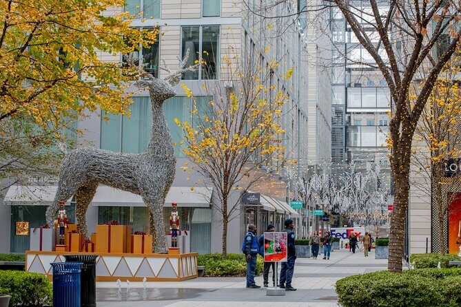 Downtown DC Holiday Tour: Lights, Decorations & Festive Cheer - FAQ