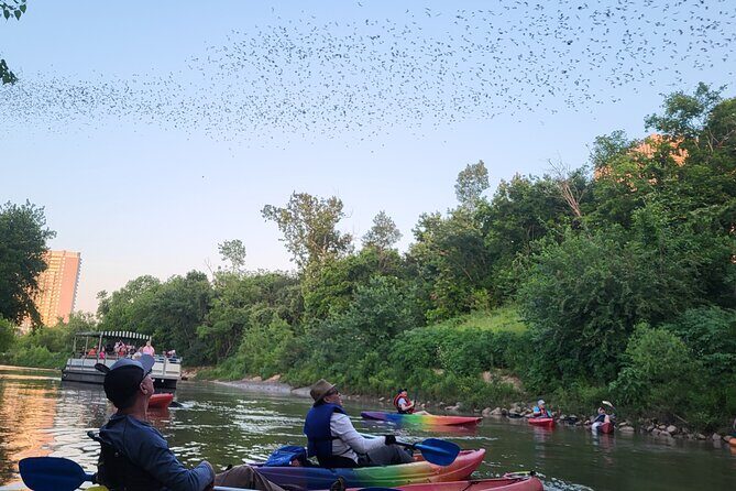 Downtown Houston Bat and Skyline Kayaking Tour - A Closer Look at the Experience