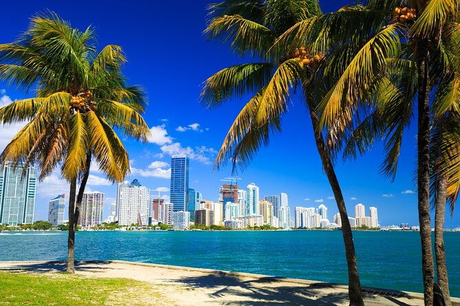 Downtown Miami Tour with Millionaires Row Cruise Tickets - The Scenic Biscayne Bay Cruise: Relaxation and Glitz