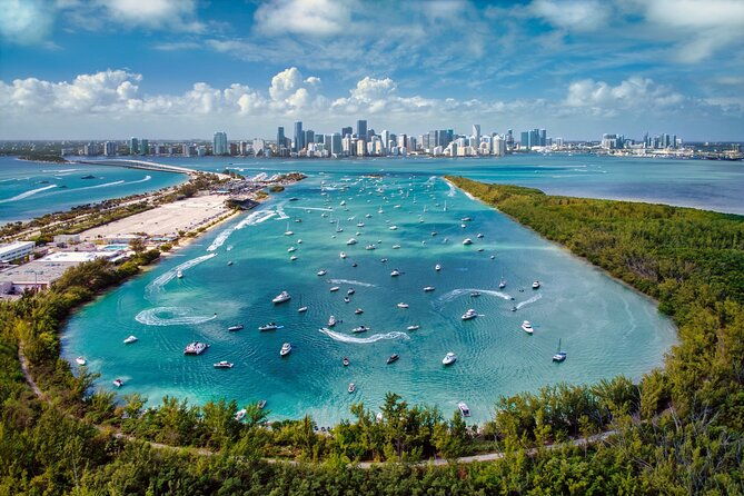 Downtown Miami Tour with Millionaires Row Cruise Tickets - What Travelers Say