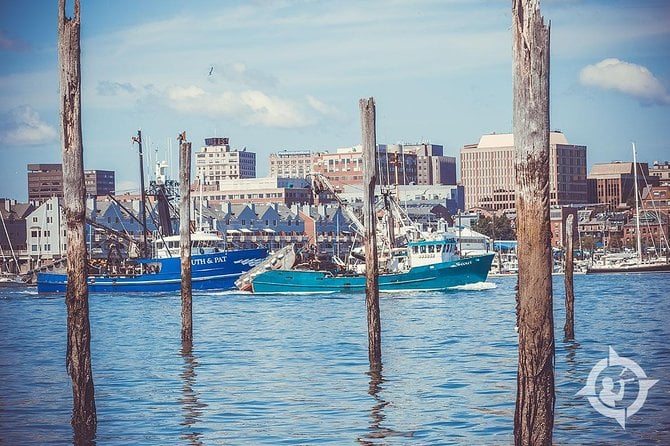 Downtown Portland, Maine City and Lighthouse Tour-2.5 Hour Land Tour - Reviews and Ratings