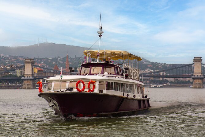 Downtown Sightseeing Cruise - Reviews Overview