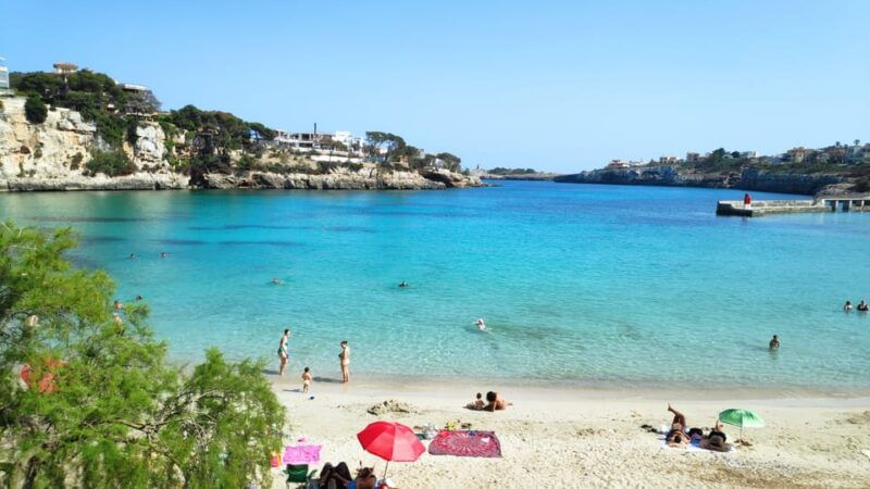 Drach Caves and Palma or Beach Retreat – Full-Day Tour - Palma Exploration