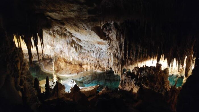 Drach Caves and Palma or Beach Retreat – Full-Day Tour - Important Information