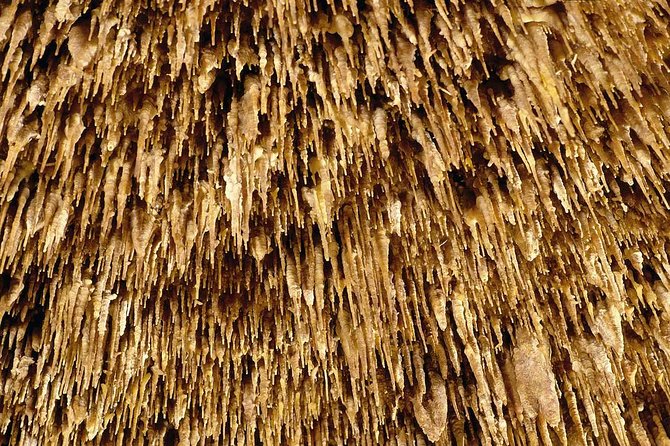 Drach Caves, Porto Cristo & Pearl Shop Mallorca Half Day Tour - Common Questions