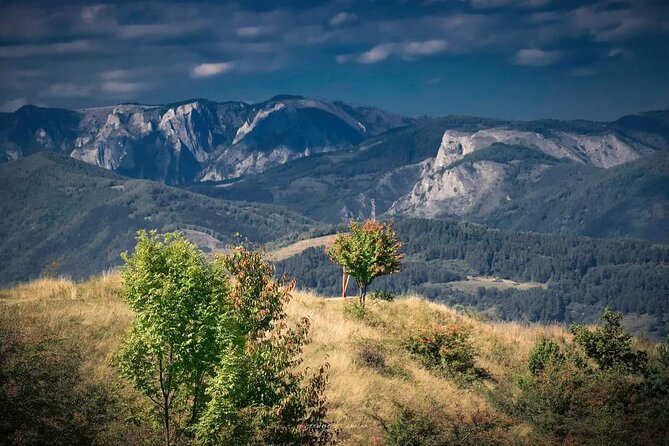 Dracula Beyond the Legend 8 Day Private Tour With Airport Pickup - Booking Confirmation & Logistics