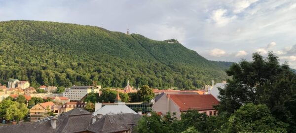Dracula Castle, Peles Castle and Brasov Private Day Tour - The Sum Up