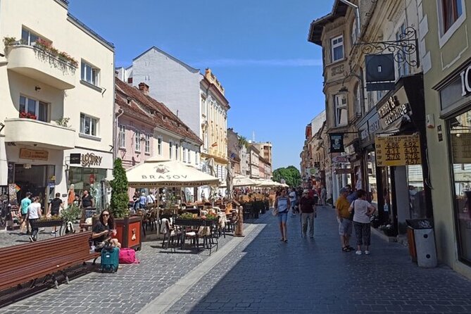 Dracula Castle Private Tour With Brasov City and Peles Castle - Booking Information and Tips