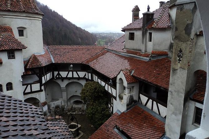 Dracula Castle Rasnov Fortress Optional Peles Castle From Brasov - Tour Logistics