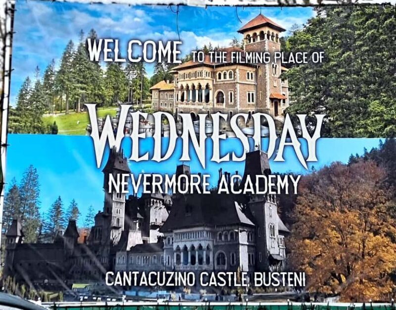 Dracula Castles & Peles, "Wednesday" Day Trip from Bucharest - Who Should Consider This Tour?