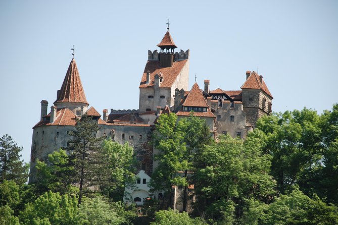 Draculas Castle & Peles Palace Tour From Bucharest Including Brasov Old Town - Cancellation Policy