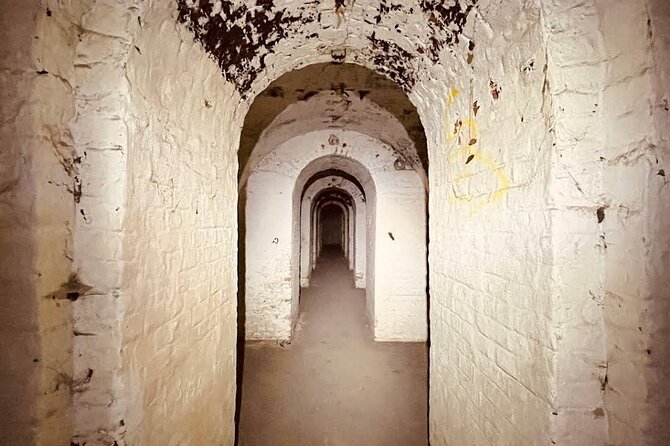 Draculas Grave, Chitila Fort and Rulers Palace, Private Tour - Admission Fees