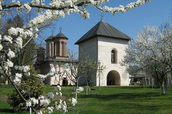 Draculas Tomb Private Tour and Mogosoaia Palace Visit - Payment and Reservation Details