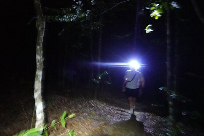 Dragon Crest Sunrise Hike and Klong Root Kayaking Private Tour - The Sum Up