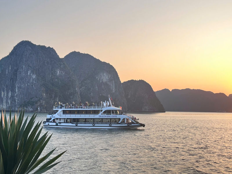 Dragon King Day Cruise: Ha Long Bay Tour with Sung Sot & Ti Top - The details that matter before you book