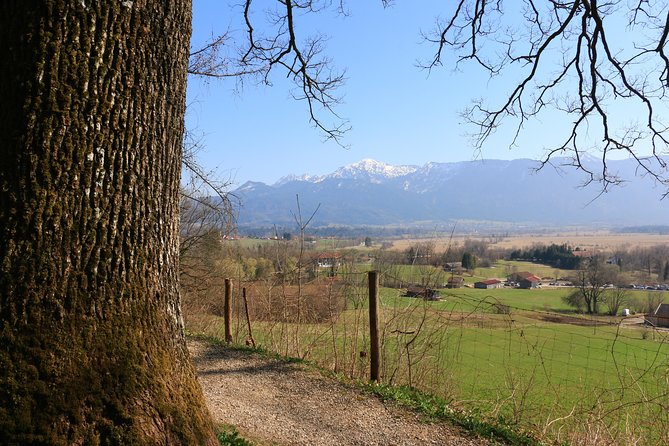Dragon Slayer Way Beer Hike Food Experience Private Tour (departs Munich) - Tour Highlights