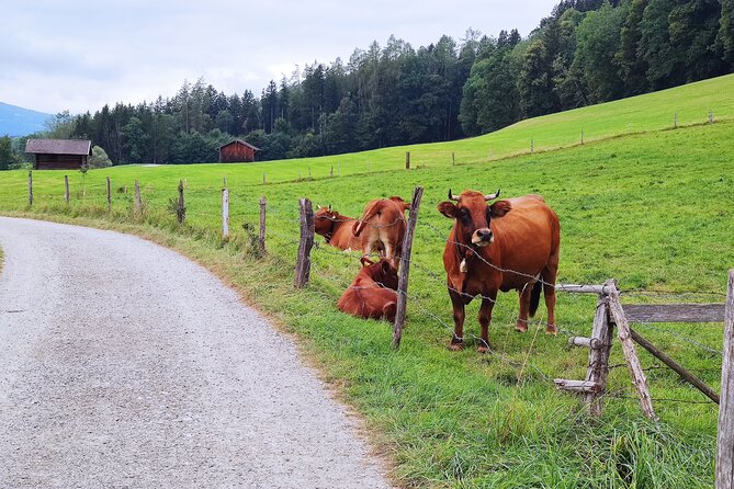 Dragon Slayer Way Beer Hike Food Experience Private Tour (departs Munich) - Trail Overview