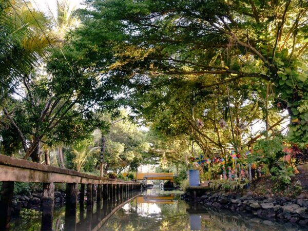Dragon Temple & Paddle Boat Dinner at Damnoen Saduak - Preparation Tips