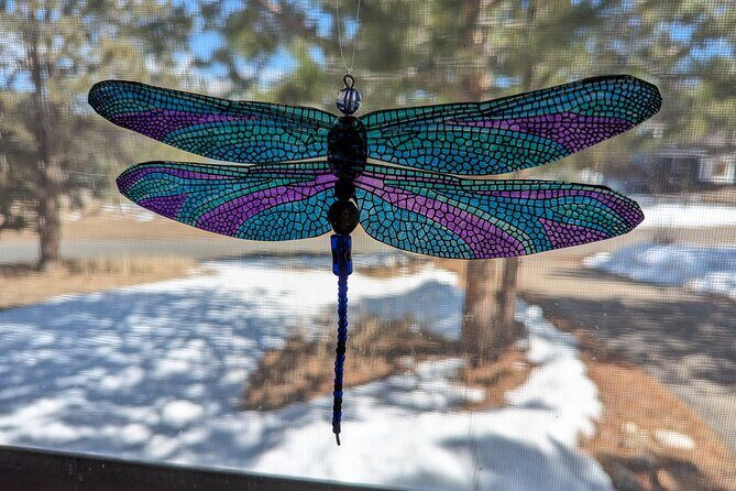 Dragonfly Suncatcher Art Kit in Estes Park - Good To Know