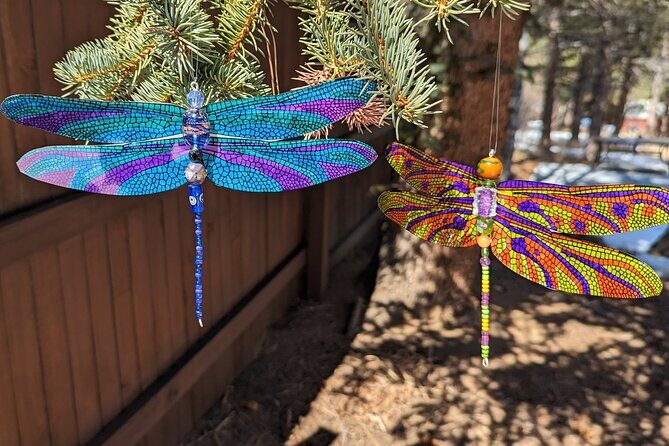Dragonfly Suncatcher Art Kit in Estes Park - In-Depth Review of the Dragonfly Suncatcher Art Kit Experience