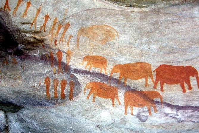 Drakensberg Giants Castle Cave Art & Mandela Capture Site Tour From Durban - Natural and Cultural Wonders of KwaZulu-Natal