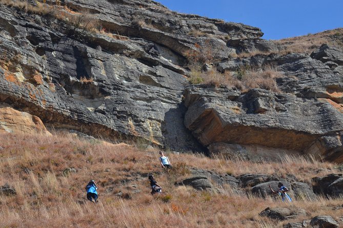 Drakensberg Kamberg Rock Art & Mandela Capture Site Day Tour From Durban - Reviews of the Drakensberg Kamberg Rock Art & Mandela Capture Site Day Tour