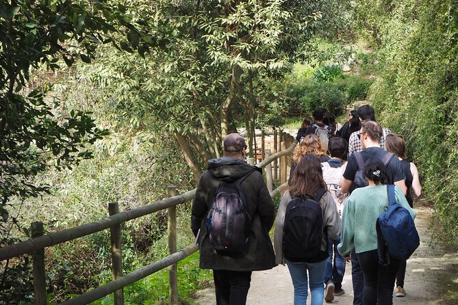 Drawing & Illustration Workshop in Hidden Gardens of Montjuic - The Sum Up