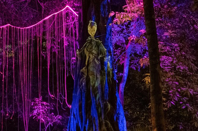 Dream Forest Langkawi Admission Ticket - Additional Info