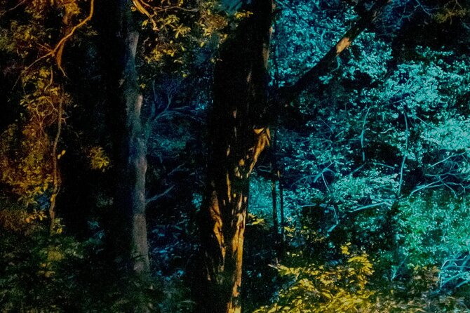 Dream Forest Langkawi Admission Ticket - Important Notes