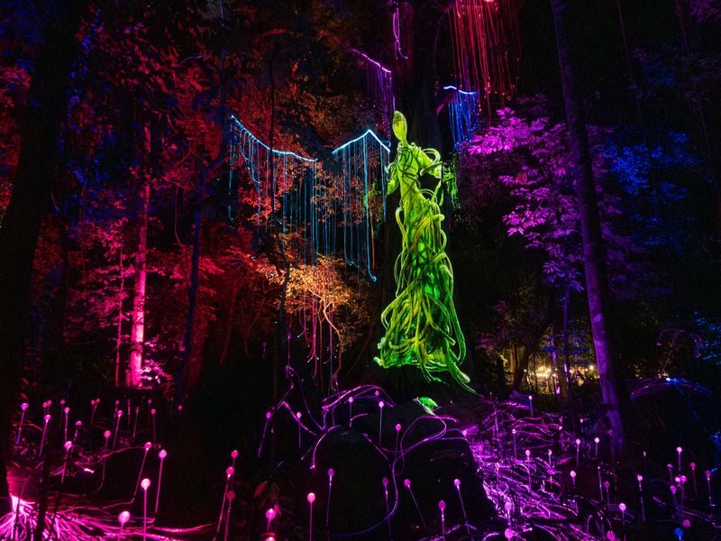 Dream Forest Langkawi Ticket - At a glance: what makes the walk different