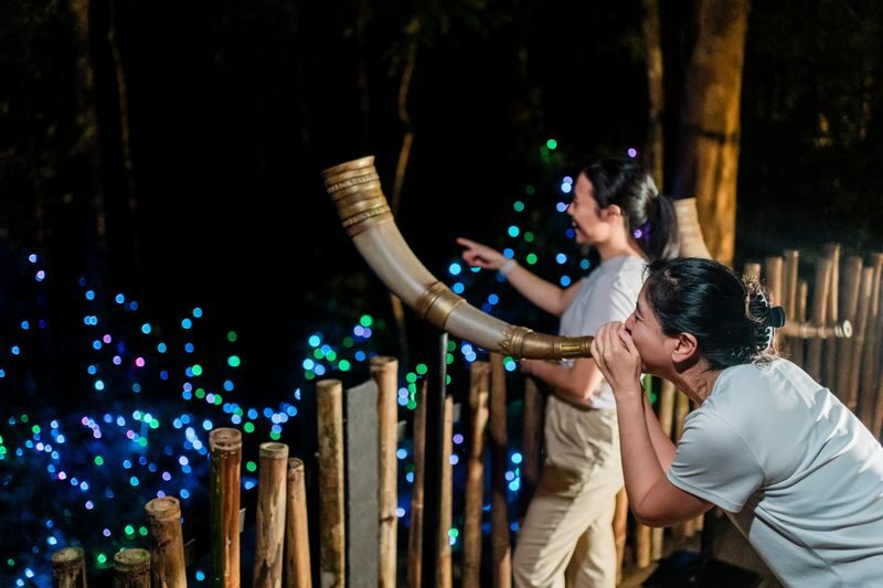 Dream Forest Langkawi Ticket - A gentle family outing, with a few limits