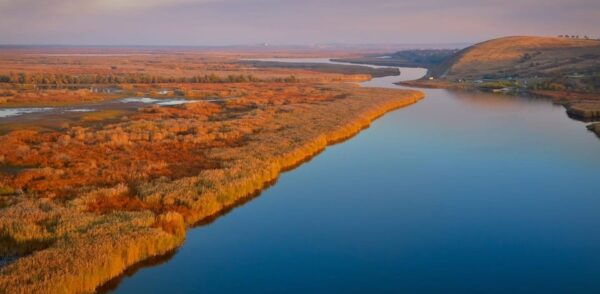 Dream Vacation in the Danube Delta (4 Nights / 5 Days) - The Sum Up