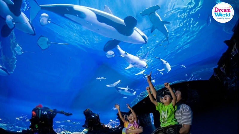 Dream World Ticket in Bangkok - Choose rides to match your group
