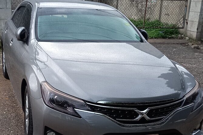 Dreams Rose Hall Resort & Spa Private Airport Transfer - What to Expect: From Airport to Your Resort