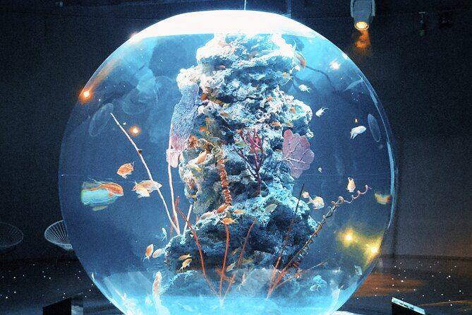 Dreamy Day Trip in Kobe - What’s Included and What You Should Consider