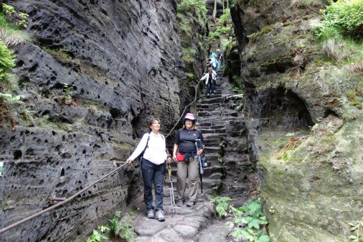 Dresden - Bastei Bridge & Tisa Rocks Easy All Inclusive Tour - Tour Highlights