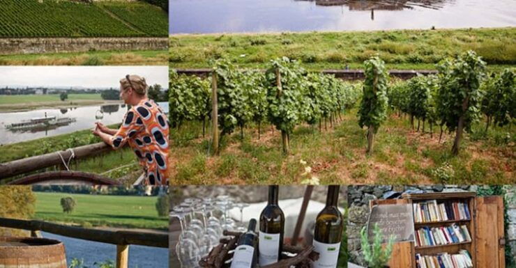 Dresden Bike Tour With Wine Tasting - Key Points