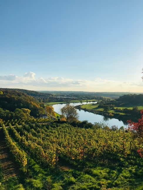 Dresden: Boat Cruise with Wine Tasting and Snacks - The Sum Up