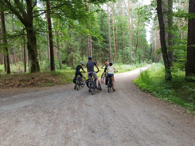 Dresden: E-Bike Tour and Dresden Heath Forest Trails - Meeting Point Details
