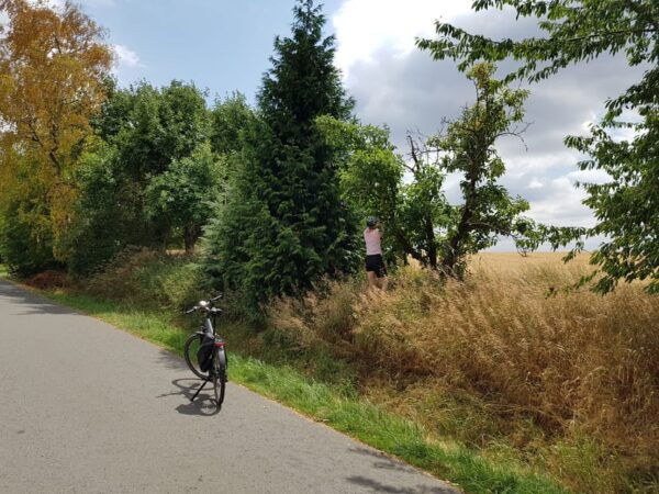 Dresden: E-Bike Tour and Dresden Heath Forest Trails - Experience Dresdens Natural Beauty