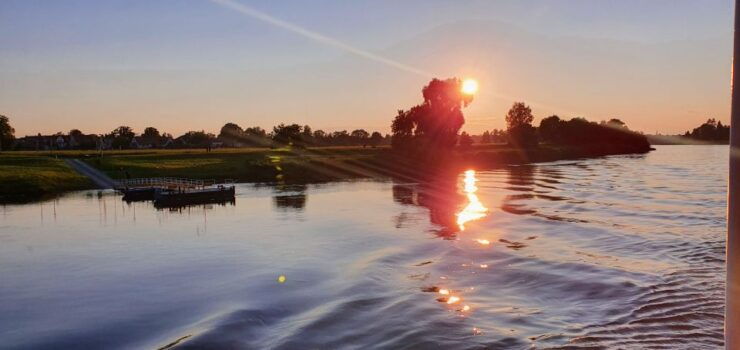 Dresden: Evening River Cruise With Dinner - Activity Details