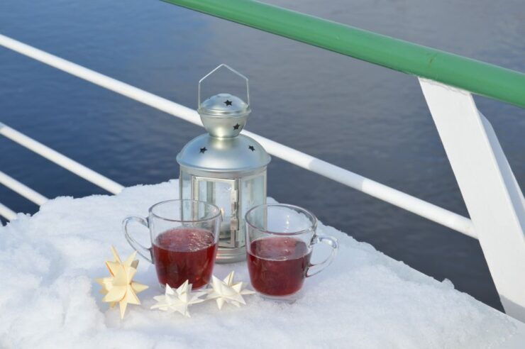 Dresden: Paddle Steamer Winter Cruise to Pillnitz (L80) - Cruise Through Dresdens City Center